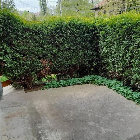 Pine Tree Apartment Сараево Экстерьер фото