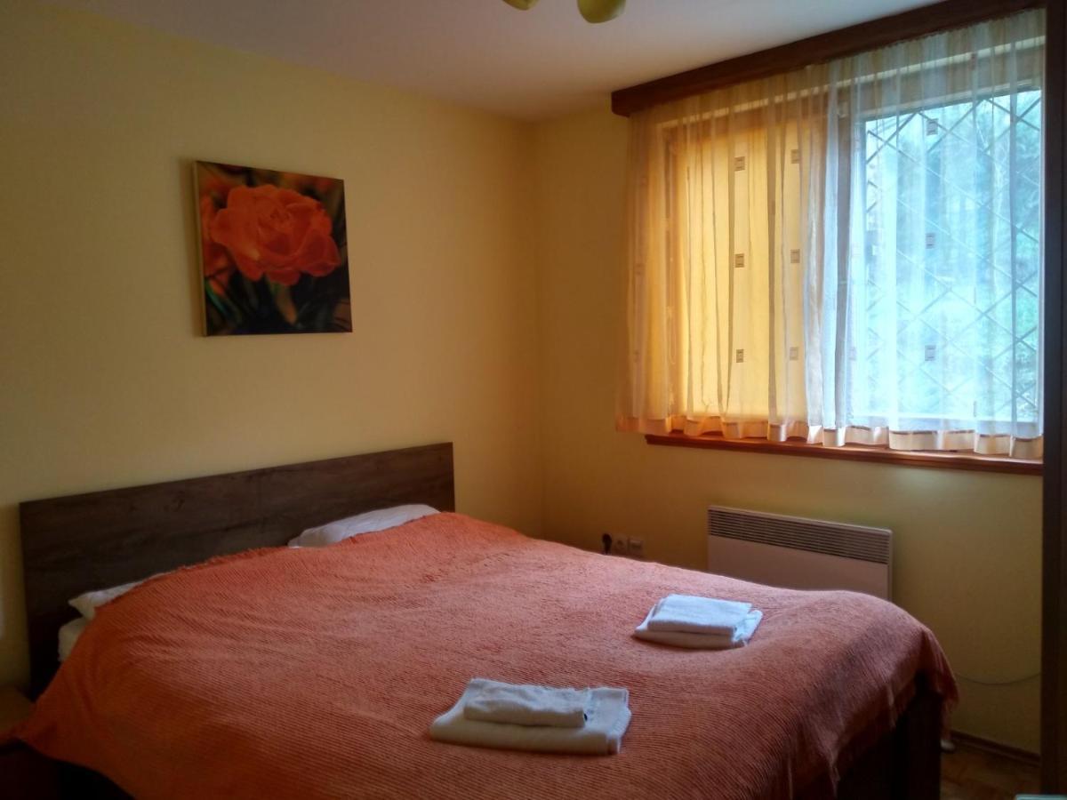 Pine Tree Apartment Сараево Экстерьер фото
