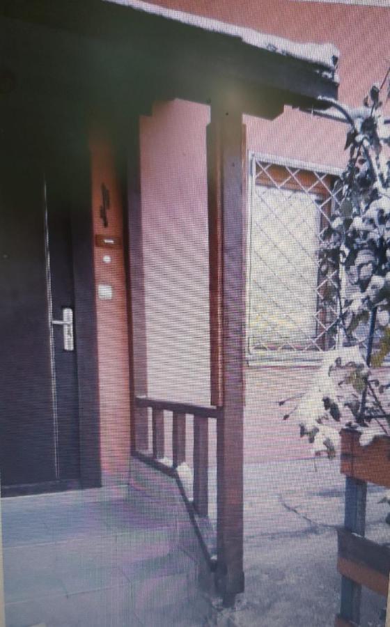Pine Tree Apartment Сараево Экстерьер фото
